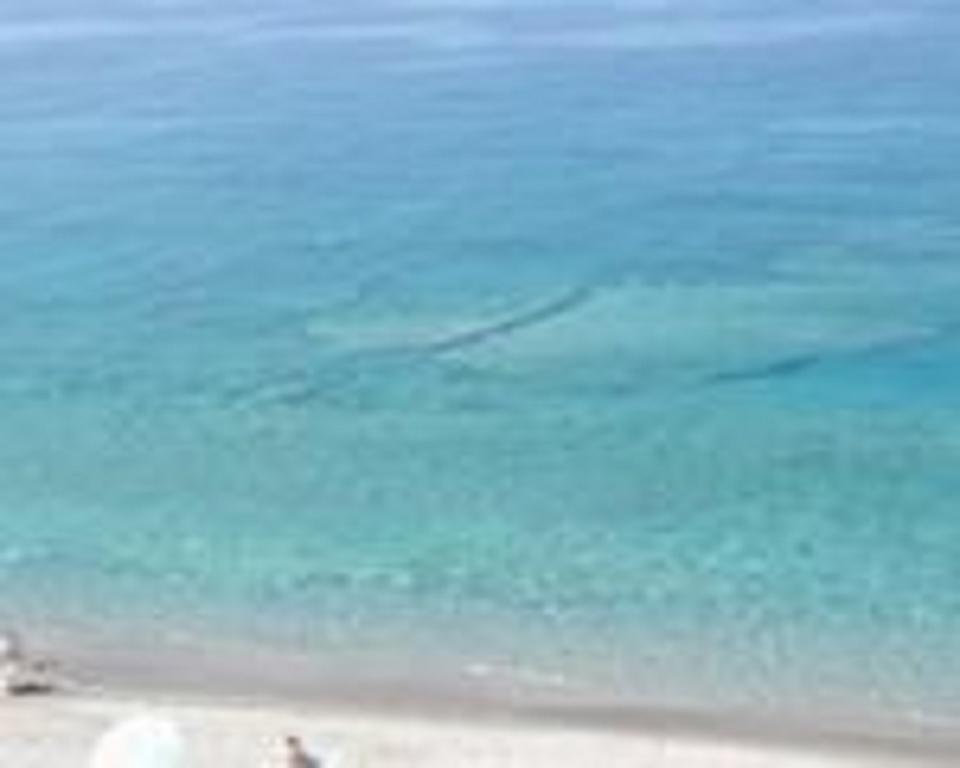 Appartement Terrazza Sul Mare à Gioiosa Marea Extérieur photo